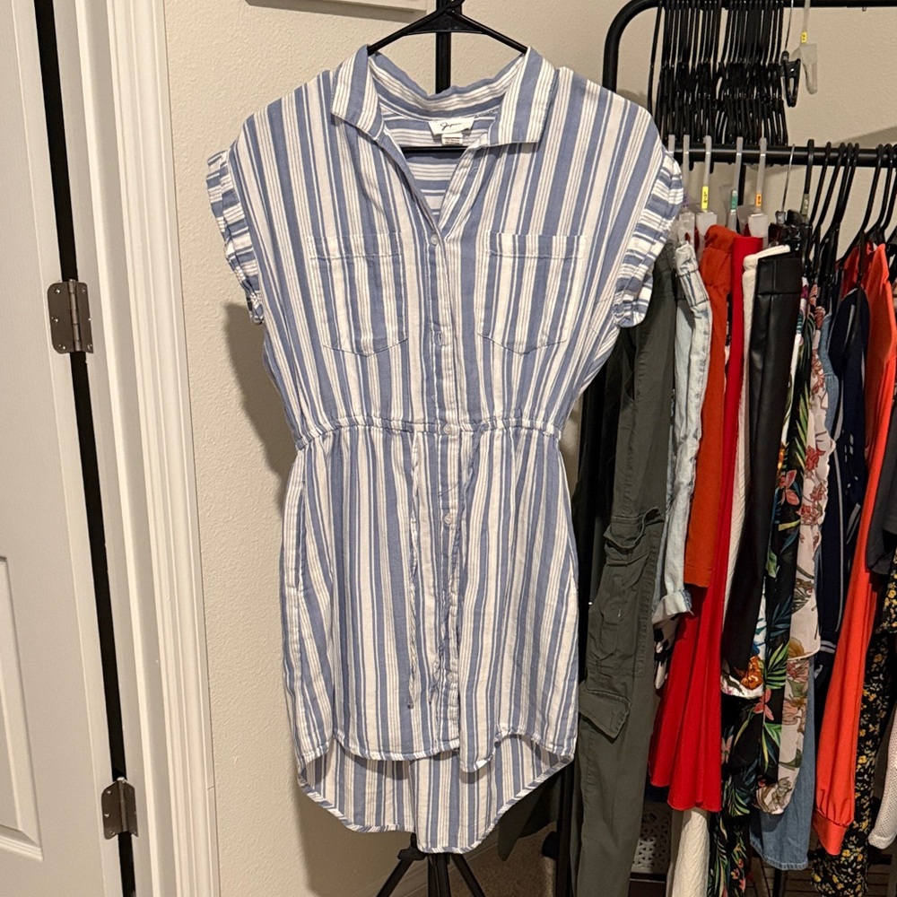 Blue and White Striped Button-Front Shirtdress